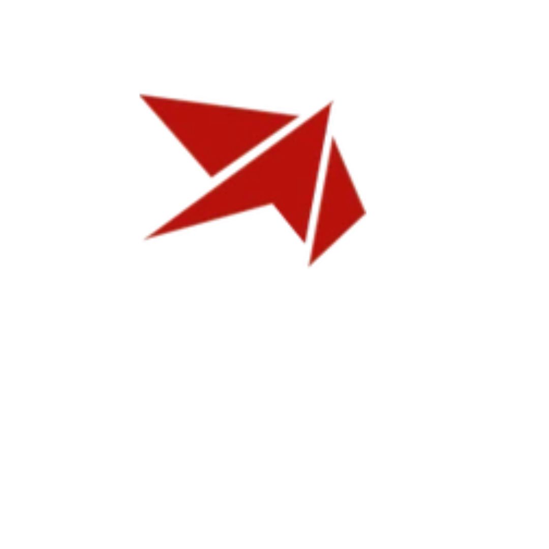 Stellar Career Guide Coaching Agency